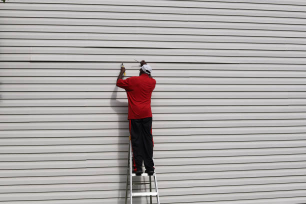 Best Steel Siding Installation  in Toftrees, PA